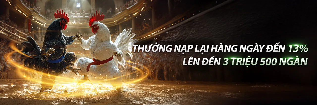 Đá gà trực tuyến t88 với những trận đấu kịch tính