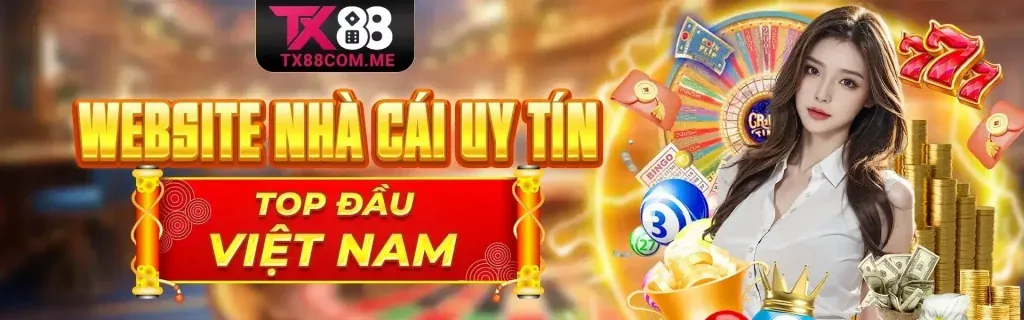 Điều khoản và Điều kiện t88